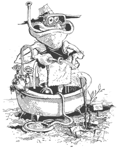 Greywater Systems Western Australia