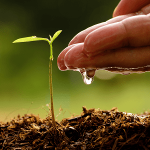 maintaining moisture